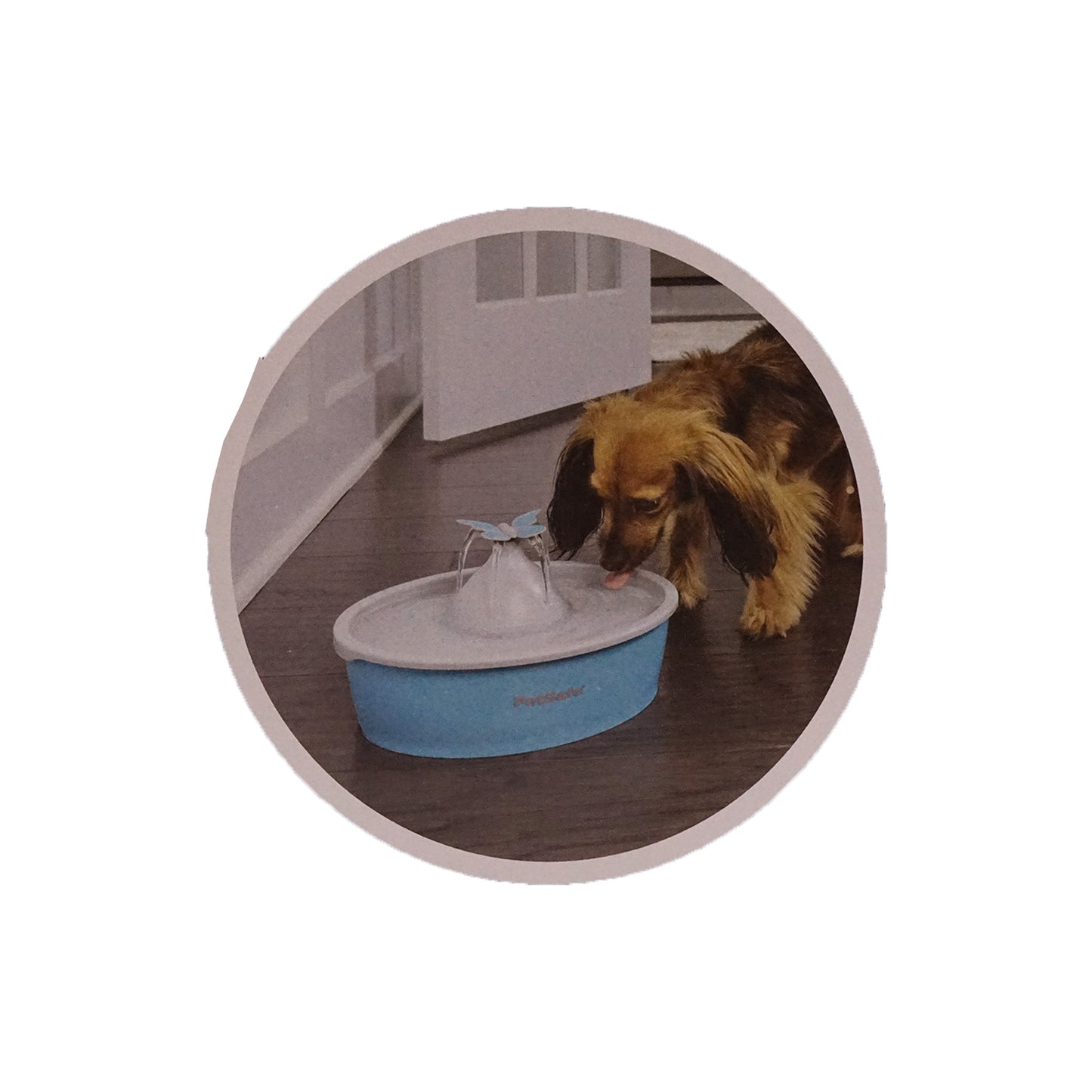 Haustiertrinkbrunnen