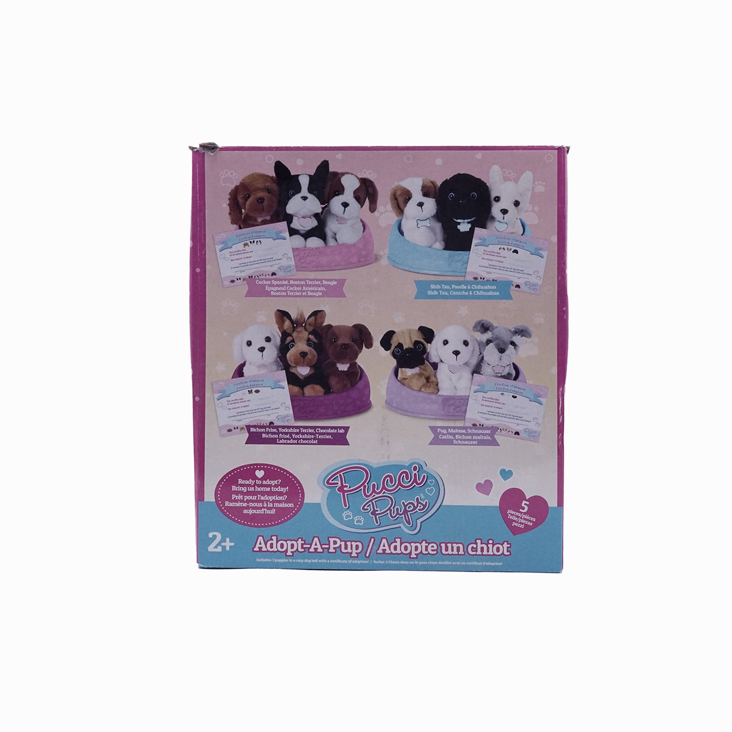 Pucci Pups Hunde