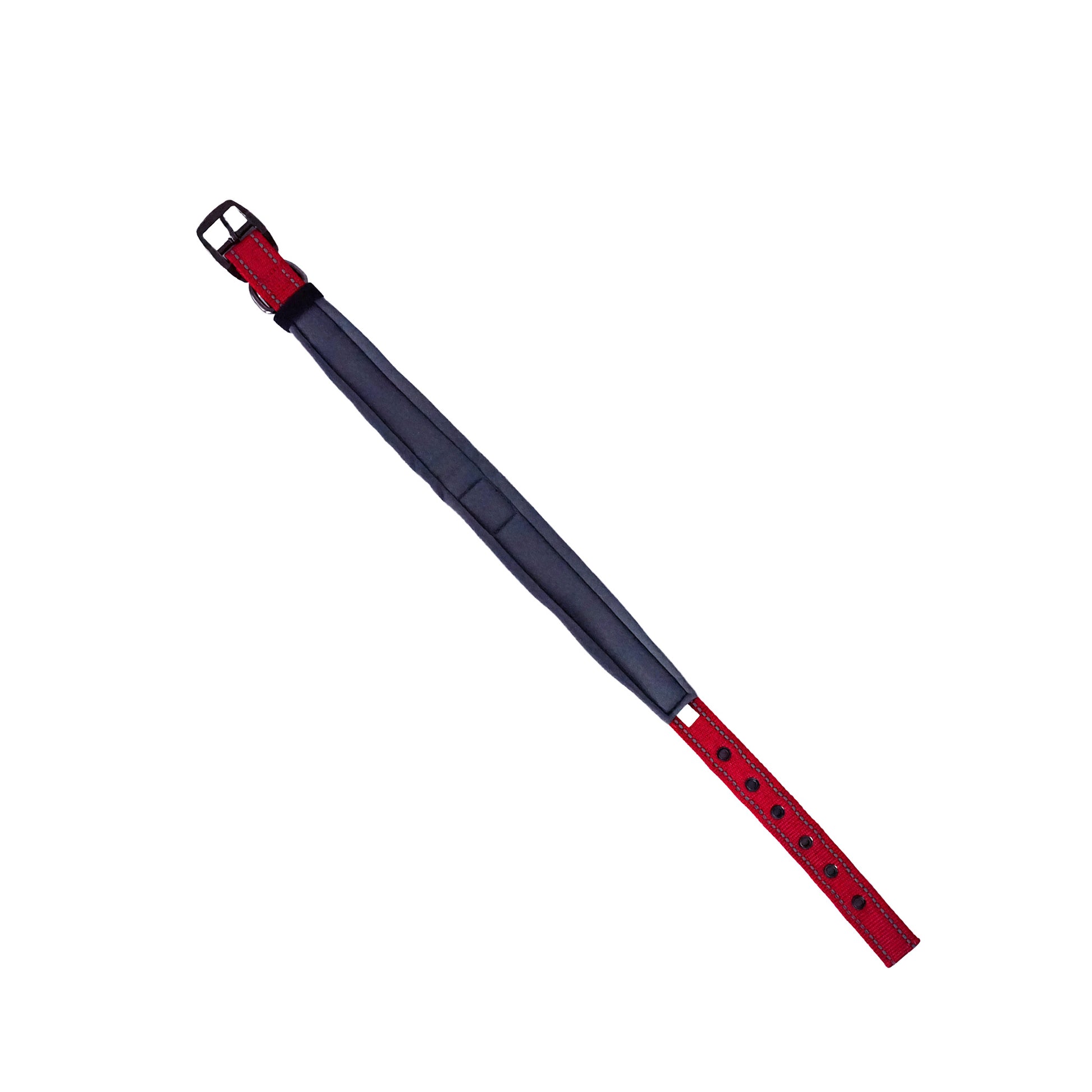 Gepolstertes Hundehalsband aus Neopren von Joytale