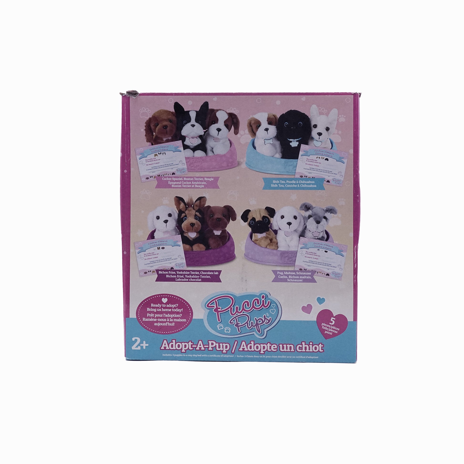 Pucci Pups Hunde