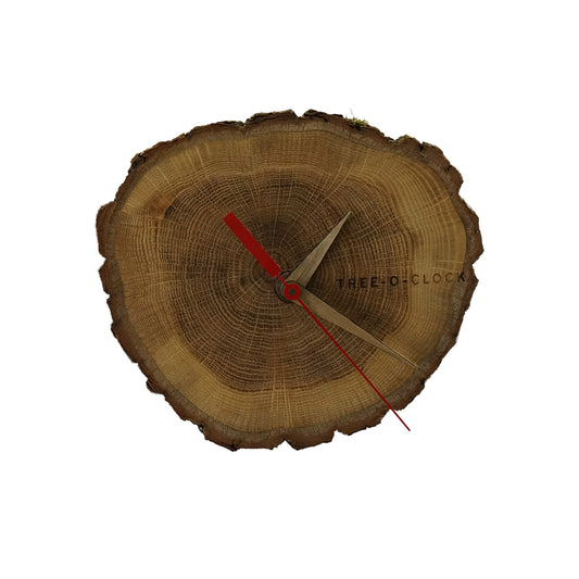 Tree-O-Clock; Baumuhr